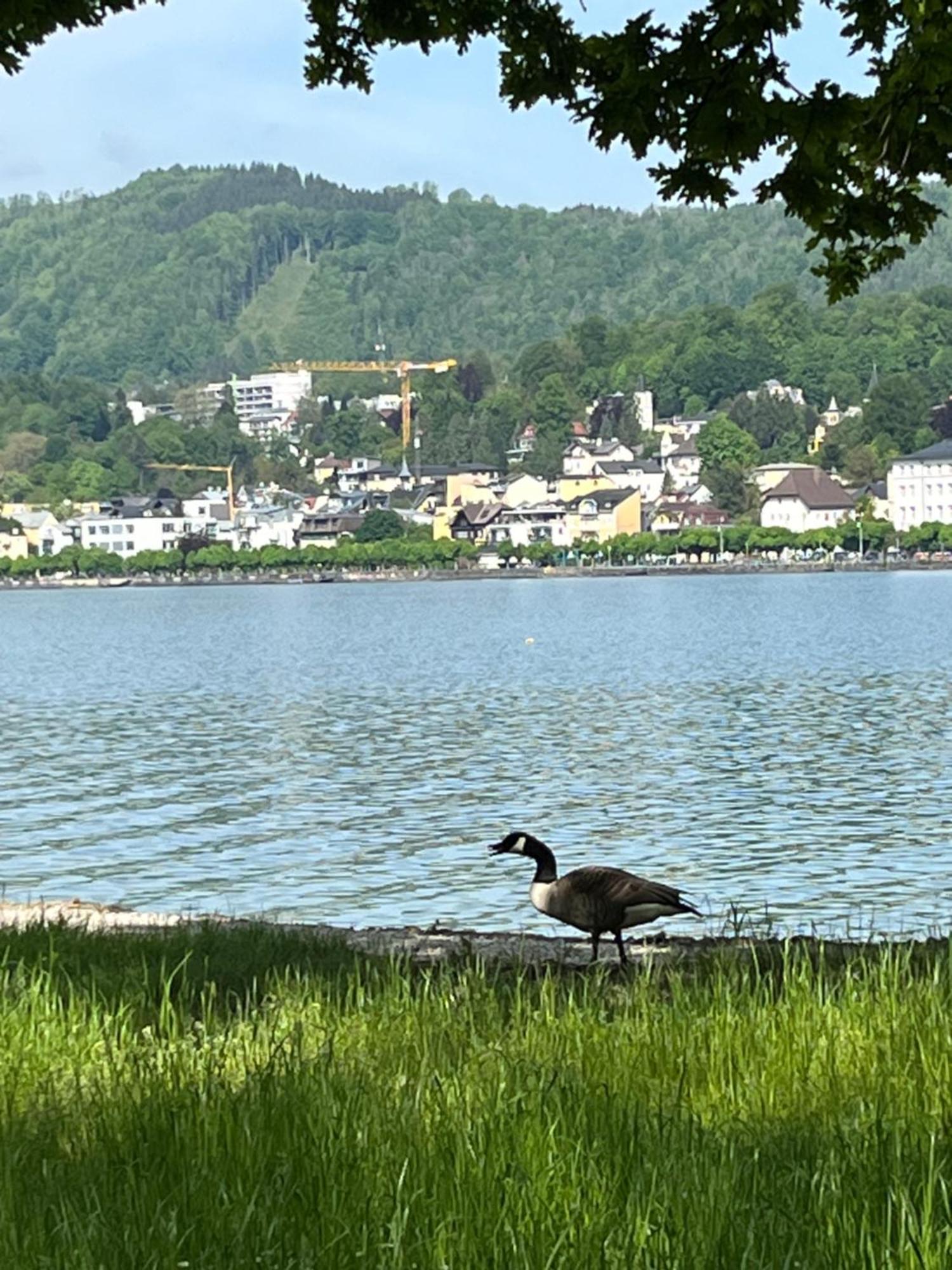 Altstadtjuwel In Gmunden Am Traunsee Buitenkant foto