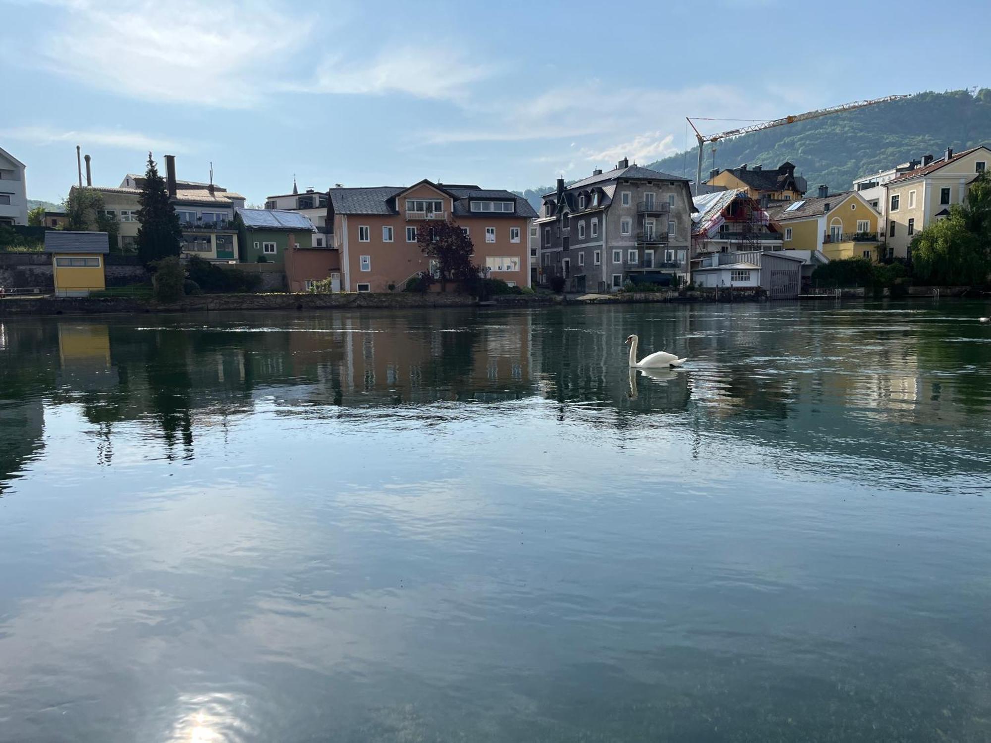 Altstadtjuwel In Gmunden Am Traunsee Buitenkant foto