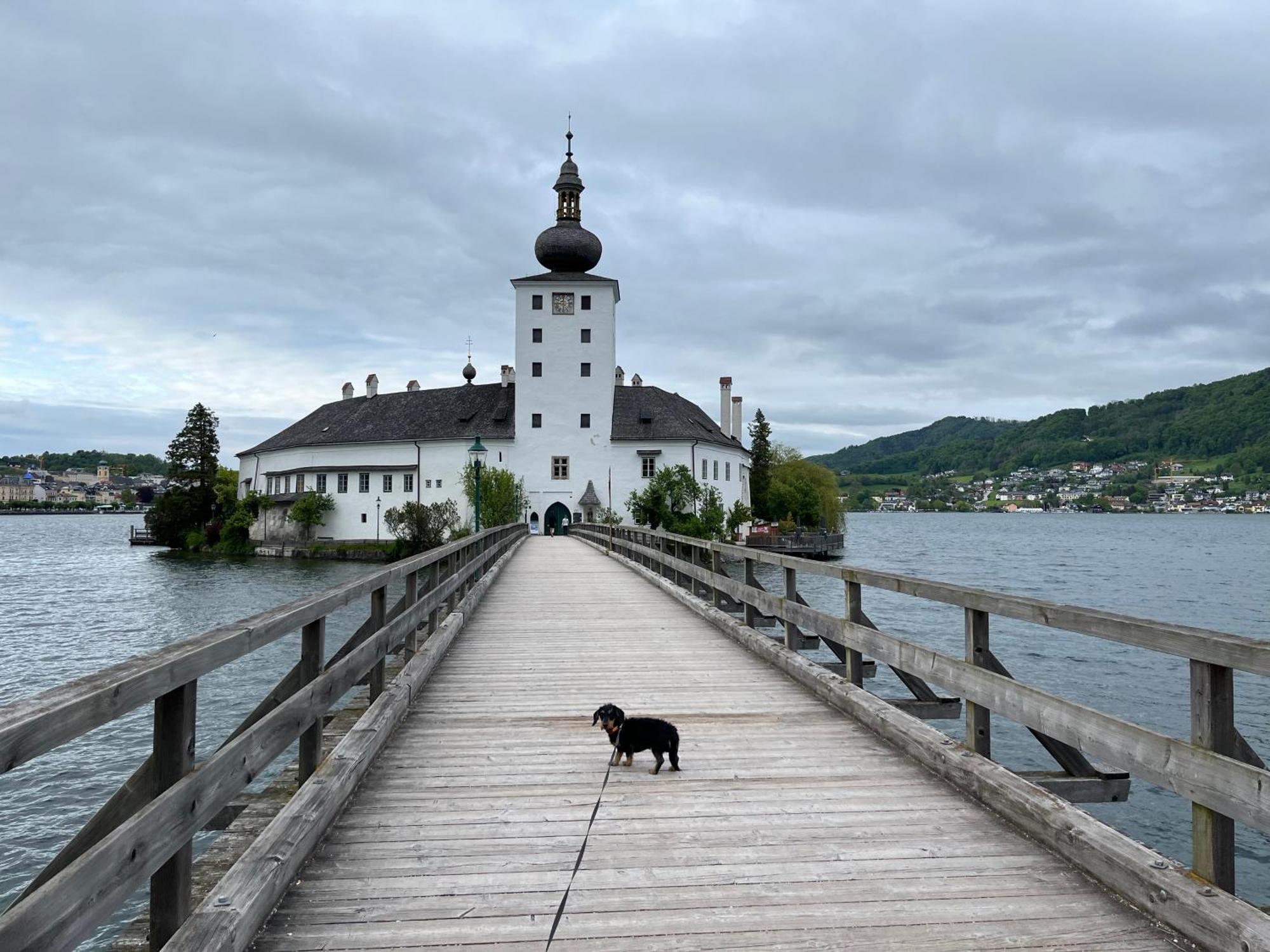 Altstadtjuwel In Gmunden Am Traunsee Buitenkant foto