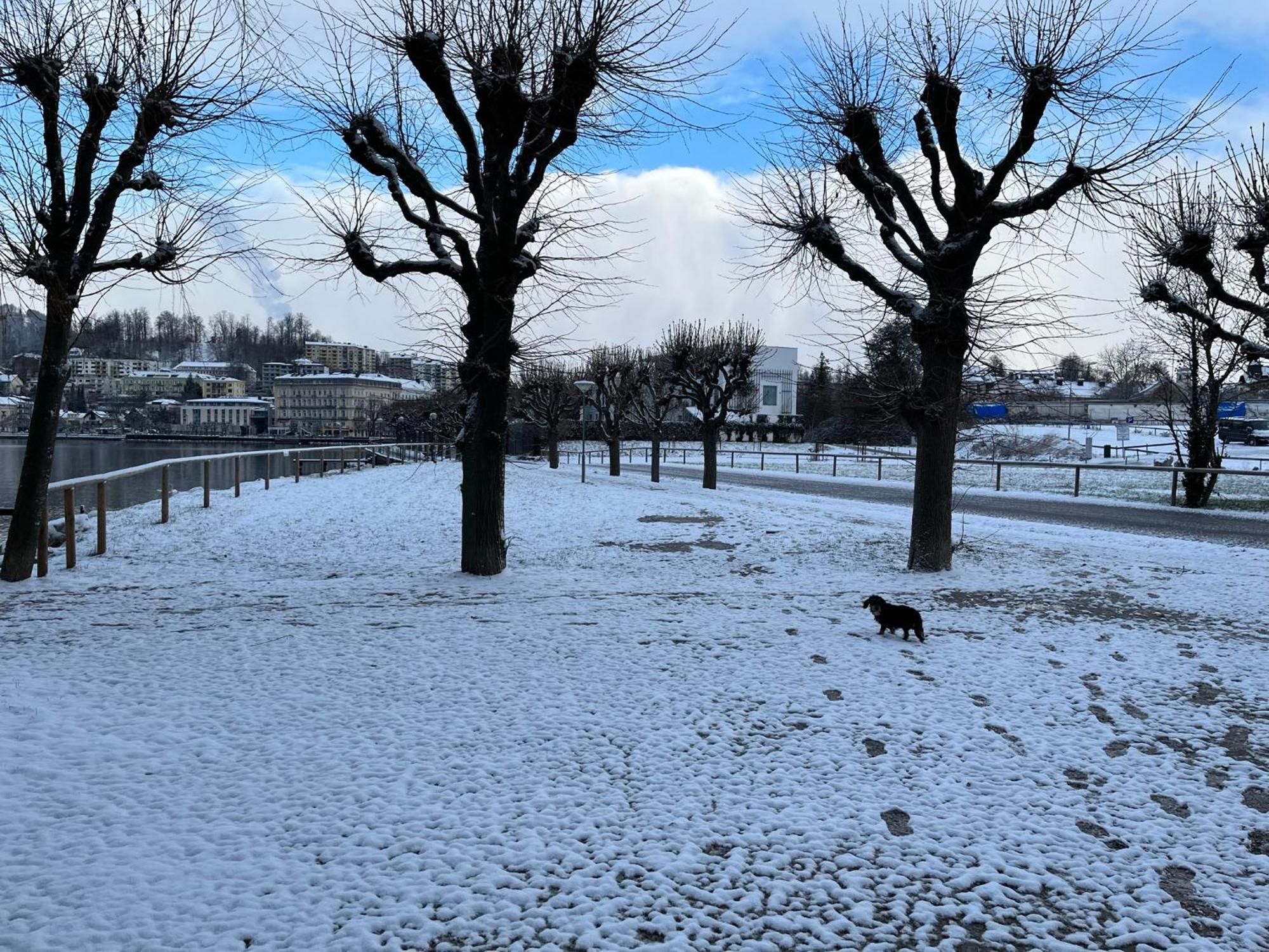 Altstadtjuwel In Gmunden Am Traunsee Buitenkant foto